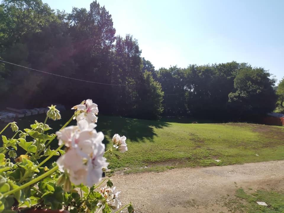 Villa Colle Nanto Exteriör bild